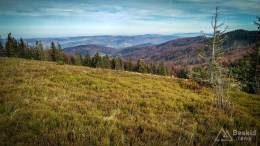 IMG_20171018_131200_HDR