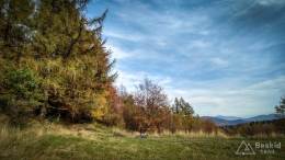 IMG_20171018_141610_HDR