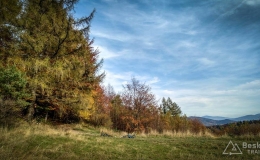 IMG_20171018_141610_HDR