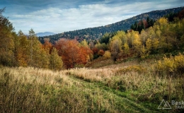 IMG_20171018_141651_HDR