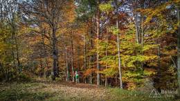 IMG_20171018_142219_HDR