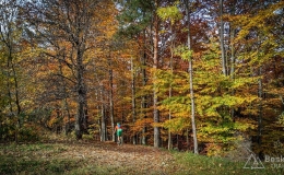IMG_20171018_142219_HDR
