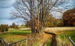 IMG_20171018_160314_HDR