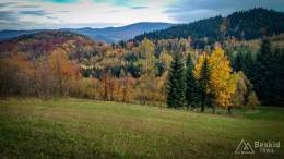 IMG_20171018_164953_HDR