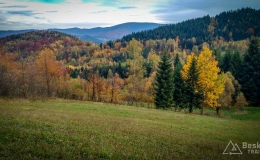 IMG_20171018_164953_HDR