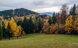 IMG_20171018_165004_HDR