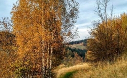 IMG_20171018_171047_HDR