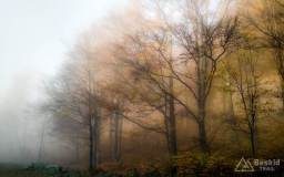 IMG_20171020_094413_HDR