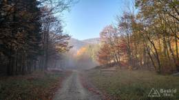 IMG_20171020_094625_HDR