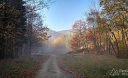 IMG_20171020_094625_HDR