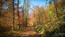 IMG_20171020_094929_HDR