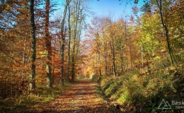 IMG_20171020_094929_HDR