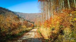 IMG_20171020_095446_HDR