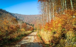 IMG_20171020_095446_HDR