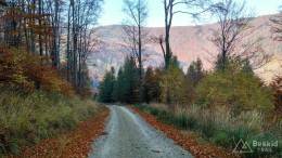 IMG_20171020_101147_HDR