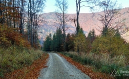 IMG_20171020_101147_HDR