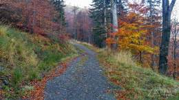 IMG_20171020_103334_HDR