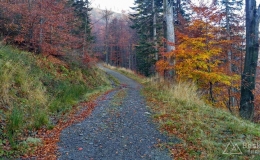 IMG_20171020_103334_HDR