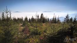 IMG_20171020_110951_HDR