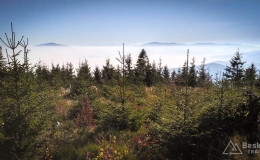 IMG_20171020_110951_HDR