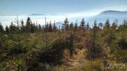 IMG_20171020_110957_HDR