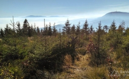 IMG_20171020_110957_HDR