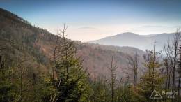 IMG_20171020_112624_HDR