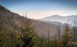 IMG_20171020_112624_HDR