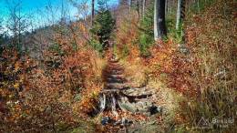 IMG_20171020_113505_HDR