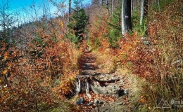 IMG_20171020_113505_HDR