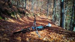 IMG_20171020_113740_HDR