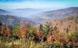 IMG_20171020_120505_HDR