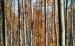 IMG_20171020_123059_HDR