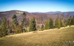 IMG_20171020_130845_HDR