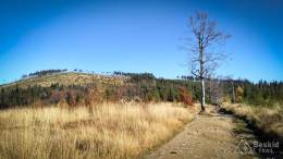 IMG_20171020_134801_HDR