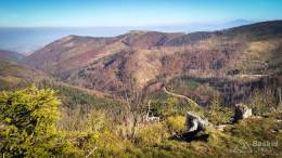 IMG_20171020_141928_HDR