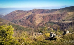 IMG_20171020_141928_HDR
