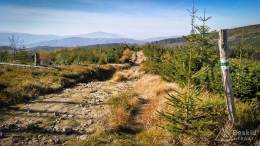 IMG_20171020_142906_HDR