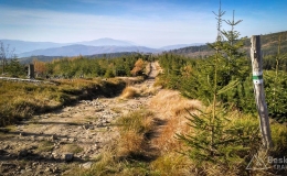 IMG_20171020_142906_HDR