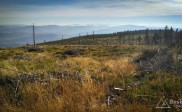 IMG_20171020_151043_HDR