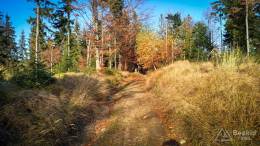 IMG_20171020_161535_HDR