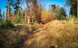 IMG_20171020_161535_HDR