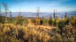 IMG_20171020_162132_HDR