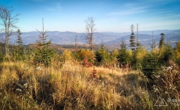 IMG_20171020_162132_HDR
