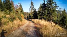 IMG_20171020_162304_HDR