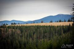 _DSC6608