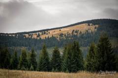_DSC6619