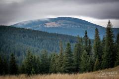 _DSC6620