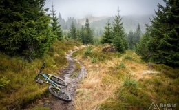 _DSC6637