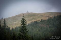 _DSC6639